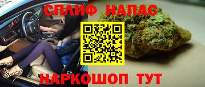 МДПВ Рыбинск